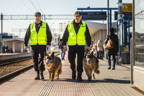 sok-funkcjonariusze-z-psami