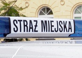 www_strazmiejska_waw_pl
