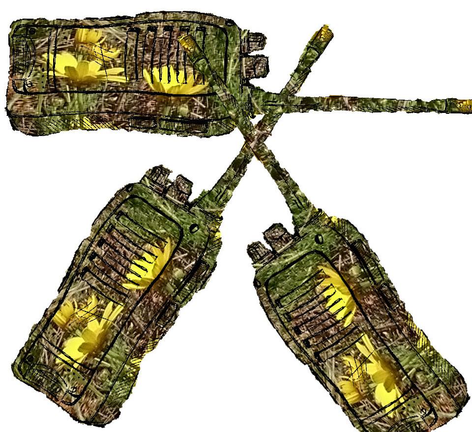 Facebook_Radkom_Gdynia